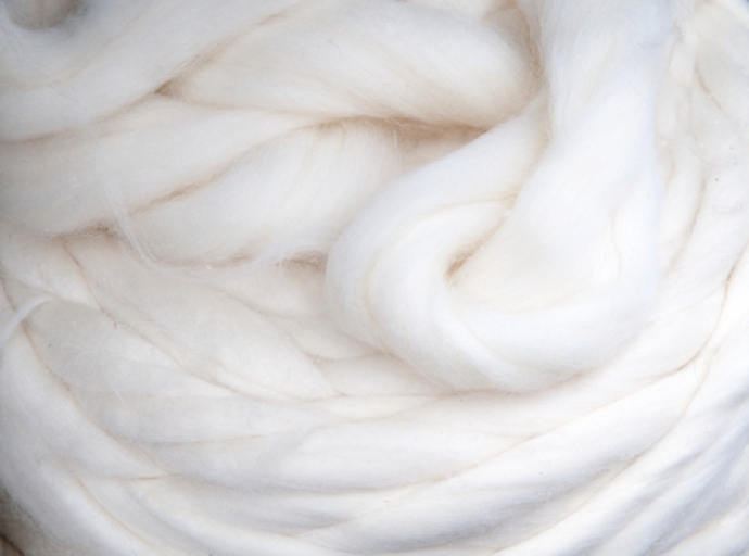 Expanding Sustainable Viscose Fiber Production in Asia-Pacific